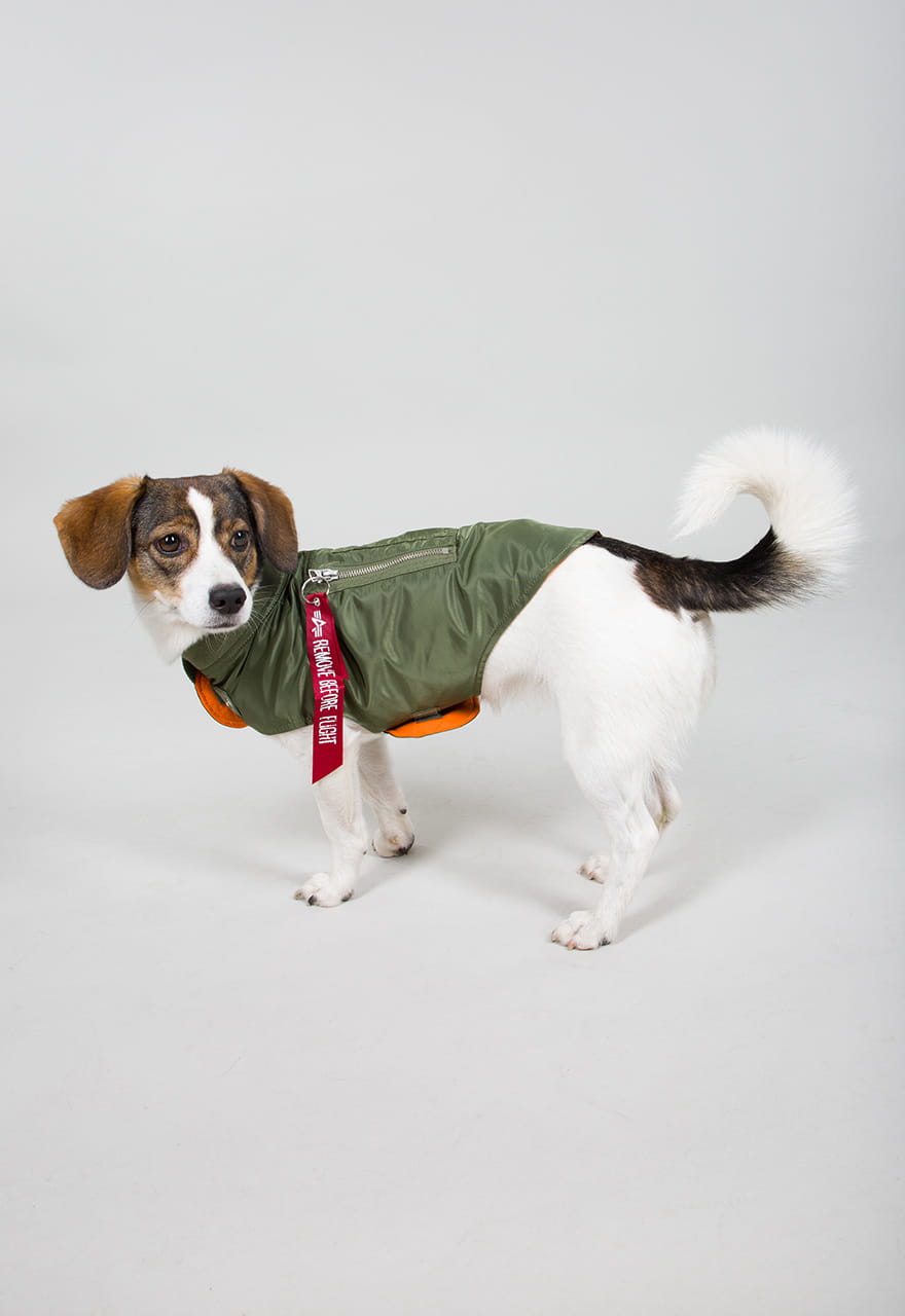 Dog MA-1 Nylon Flight Jacket Alpha Industries S/M Kurtka dla Pieska 163901