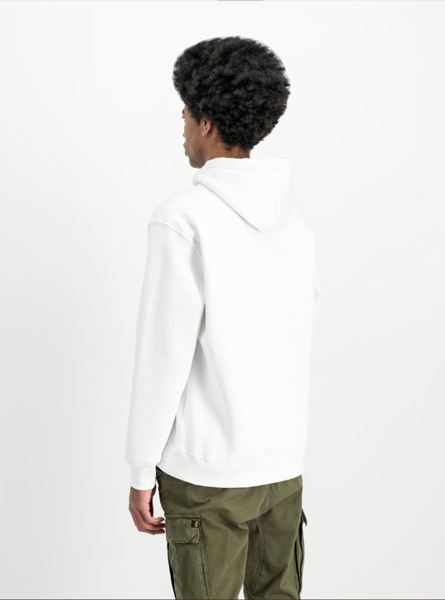 Basic Hoody Small Logo 196318