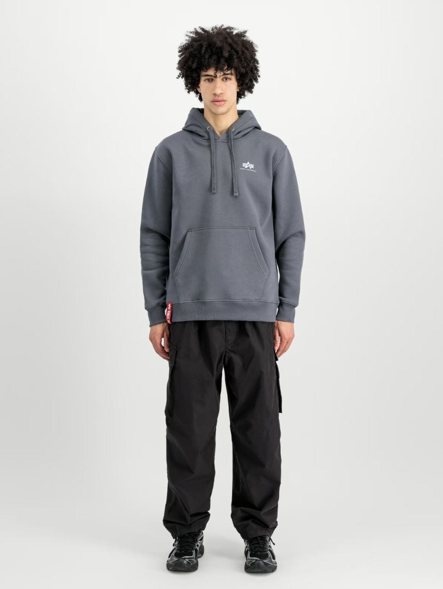 Basic Hoody Small Logo 196318
