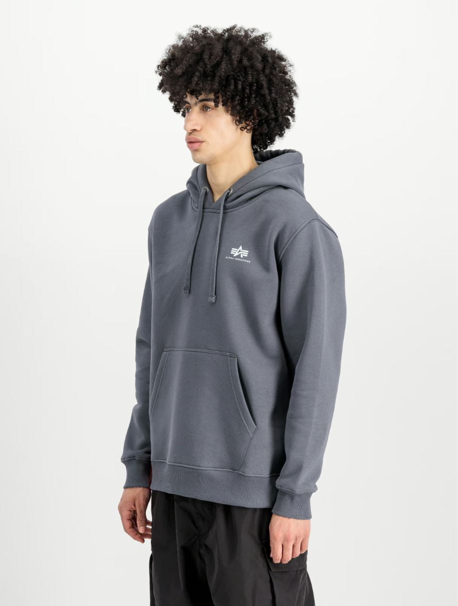 Basic Hoody Small Logo 196318