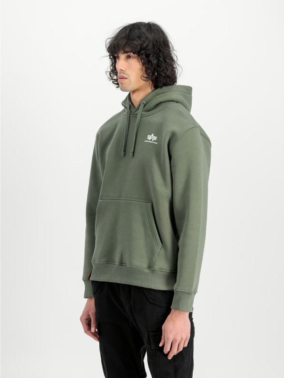 Basic Hoody Small Logo 196318