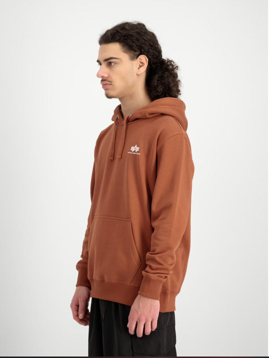 Basic Hoody Small Logo 196318