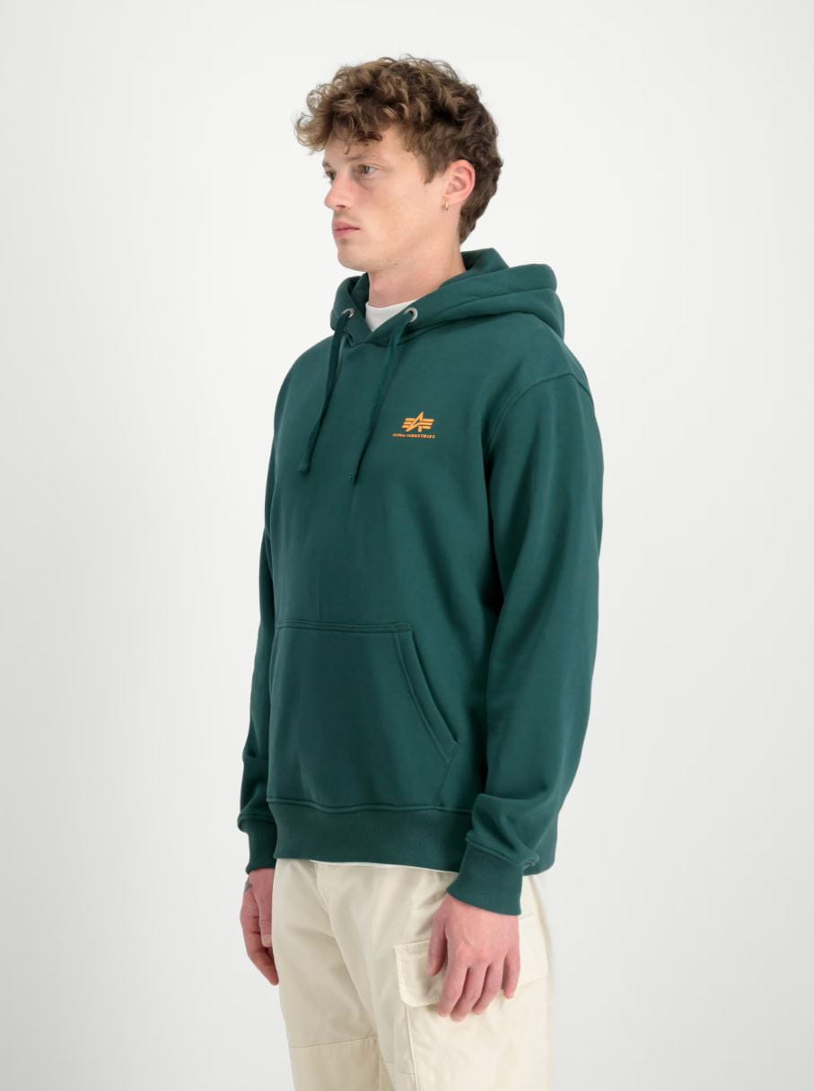 Basic Hoody Small Logo 196318