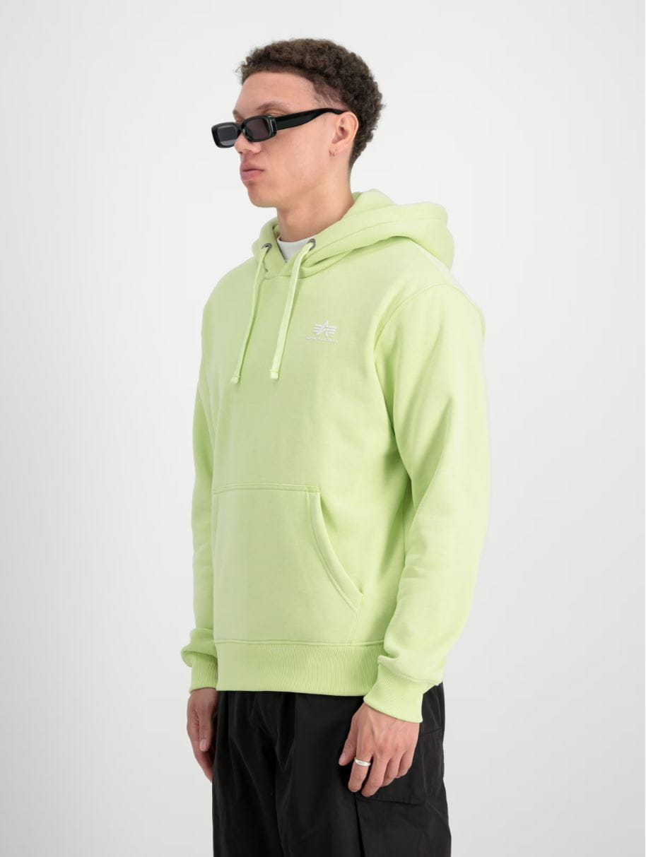 Basic Hoody Small Logo 196318
