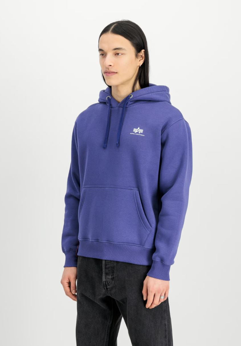 Basic Hoody Small Logo 196318