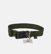 Podstawowa obroża Dog-Tag Alpha Industries S/M/L 116927